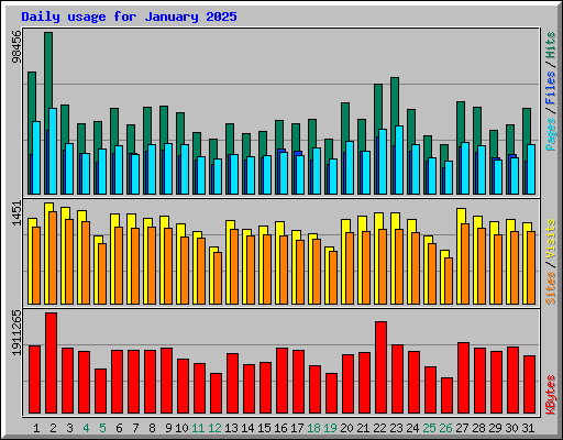 Daily usage for January 2025