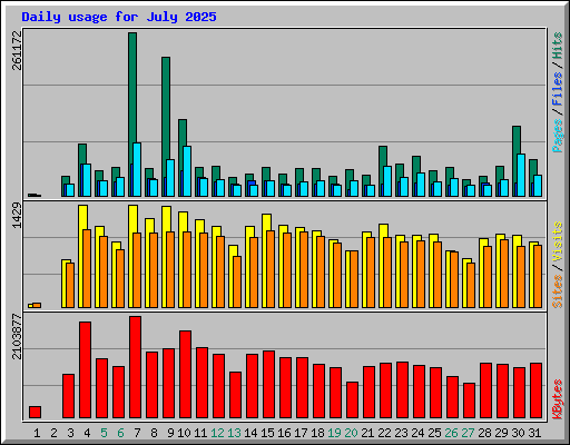 Daily usage for July 2025