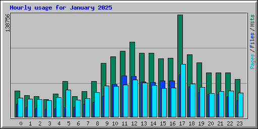 Hourly usage for January 2025