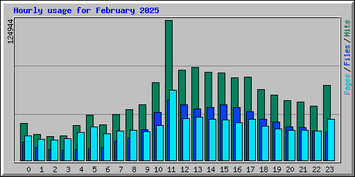 Hourly usage for February 2025