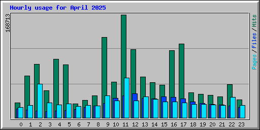 Hourly usage for April 2025