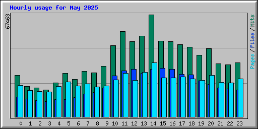 Hourly usage for May 2025