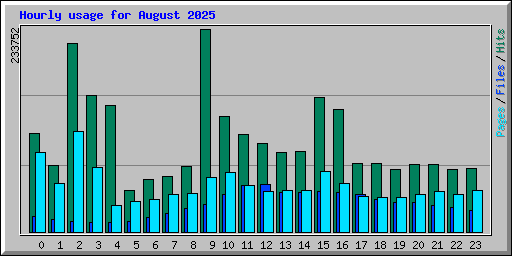 Hourly usage for August 2025