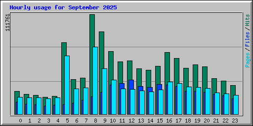 Hourly usage for September 2025
