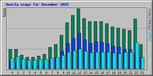 Hourly usage for December 2025