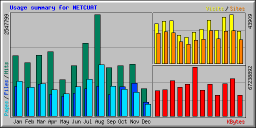 Usage summary for NETCUAT